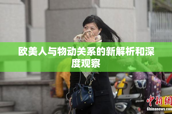 欧美人与物动关系的新解析和深度观察