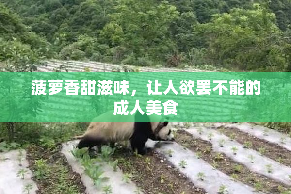 菠萝香甜滋味，让人欲罢不能的成人美食