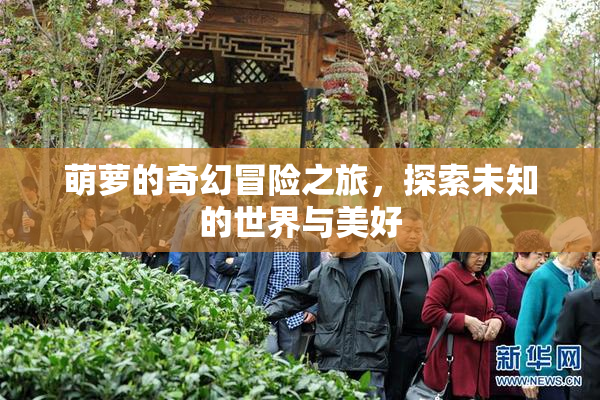萌萝的奇幻冒险之旅，探索未知的世界与美好