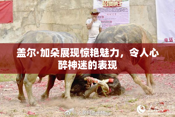 盖尔·加朵展现惊艳魅力，令人心醉神迷的表现