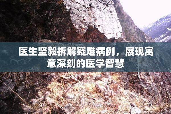 医生坚毅拆解疑难病例，展现寓意深刻的医学智慧