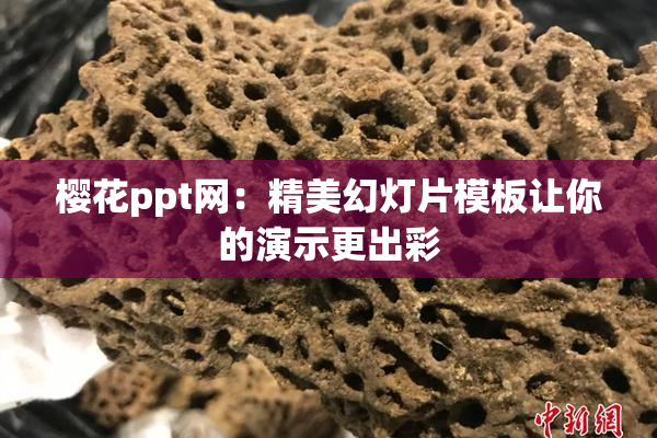 樱花ppt网：精美幻灯片模板让你的演示更出彩