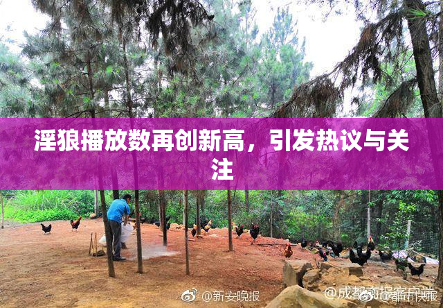淫狼播放数再创新高，引发热议与关注