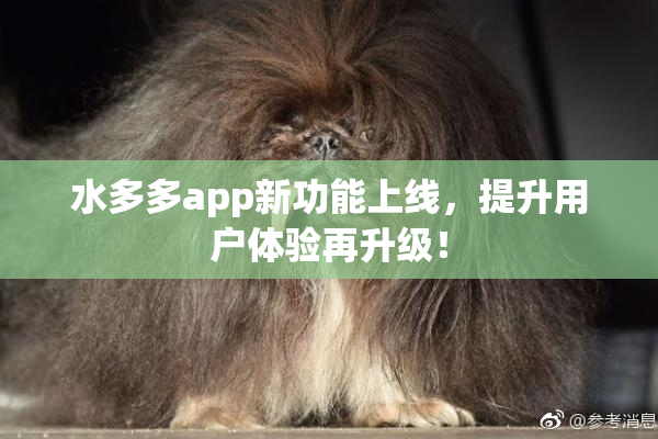 水多多app新功能上线，提升用户体验再升级！