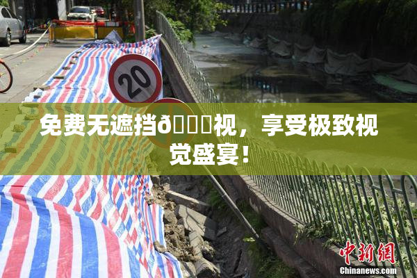 免费无遮挡🔞视，享受极致视觉盛宴！