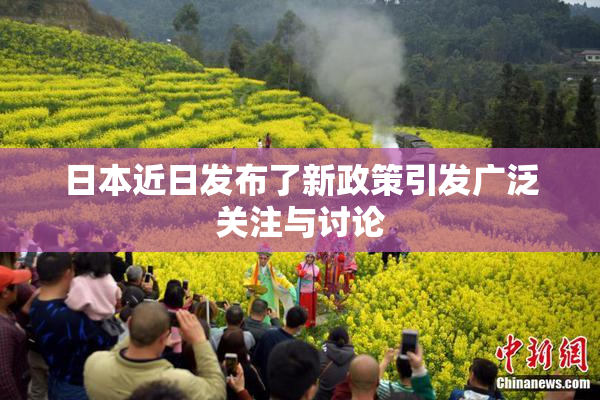 日本近日发布了新政策引发广泛关注与讨论