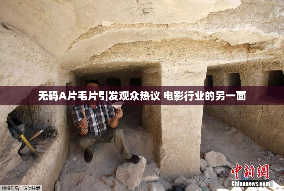 无码A片毛片引发观众热议 电影行业的另一面