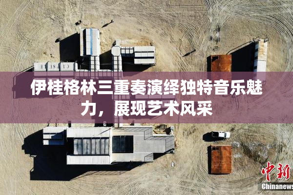 伊桂格林三重奏演绎独特音乐魅力，展现艺术风采