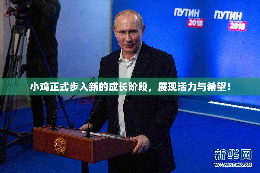 小鸡正式步入新的成长阶段，展现活力与希望！