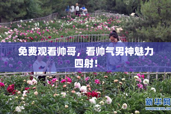 免费观看帅哥，看帅气男神魅力四射！