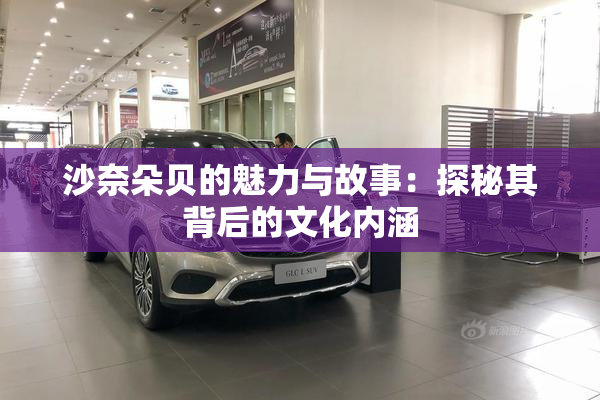 沙奈朵贝的魅力与故事：探秘其背后的文化内涵