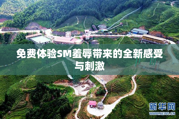 免费体验SM羞辱带来的全新感受与刺激