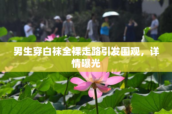 男生穿白袜全裸走路引发围观，详情曝光