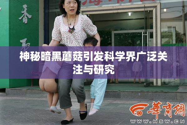 神秘暗黑蘑菇引发科学界广泛关注与研究
