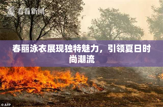 春丽泳衣展现独特魅力，引领夏日时尚潮流