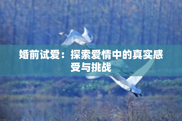 婚前试爱：探索爱情中的真实感受与挑战