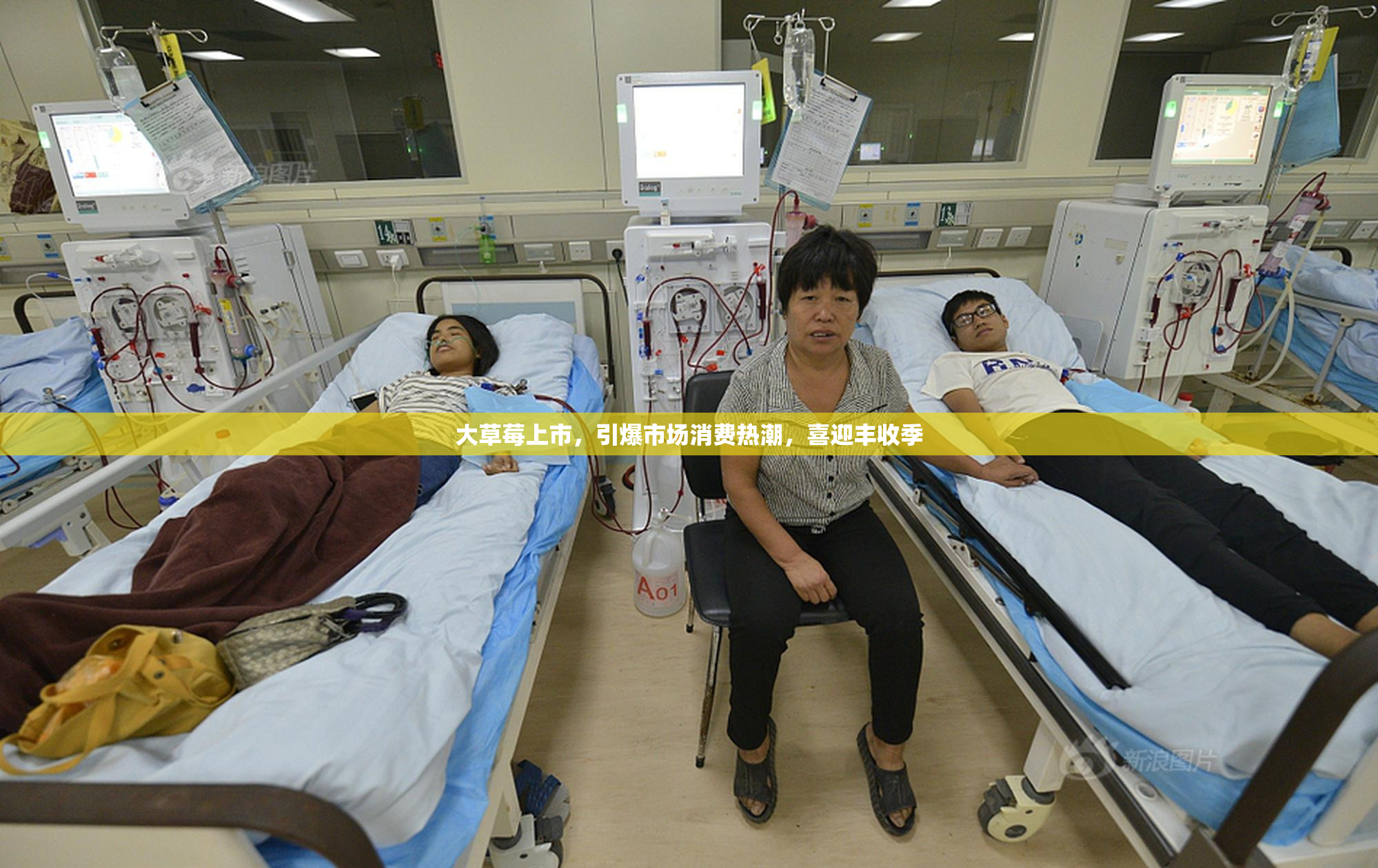大草莓上市，引爆市场消费热潮，喜迎丰收季