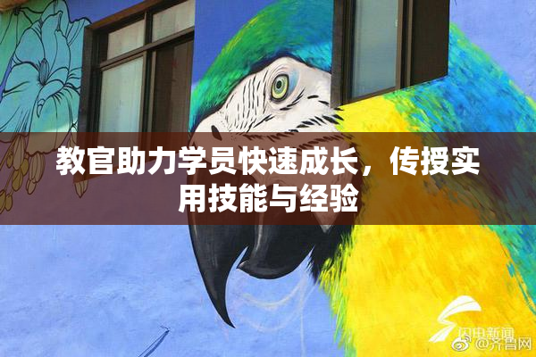 教官助力学员快速成长，传授实用技能与经验