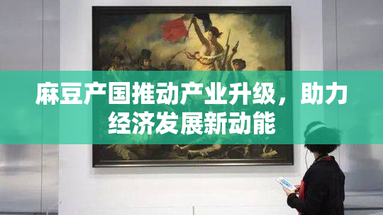 麻豆产国推动产业升级，助力经济发展新动能