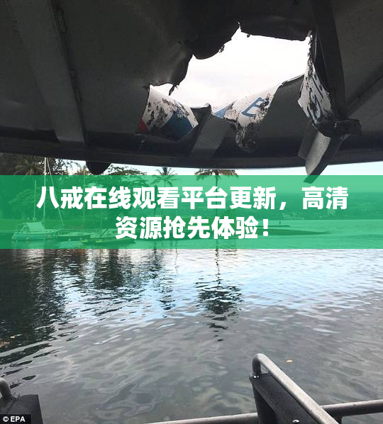 八戒在线观看平台更新，高清资源抢先体验！