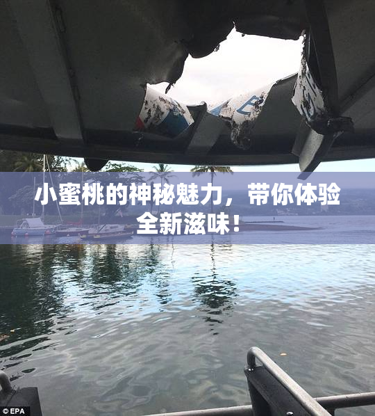 小蜜桃的神秘魅力，带你体验全新滋味！