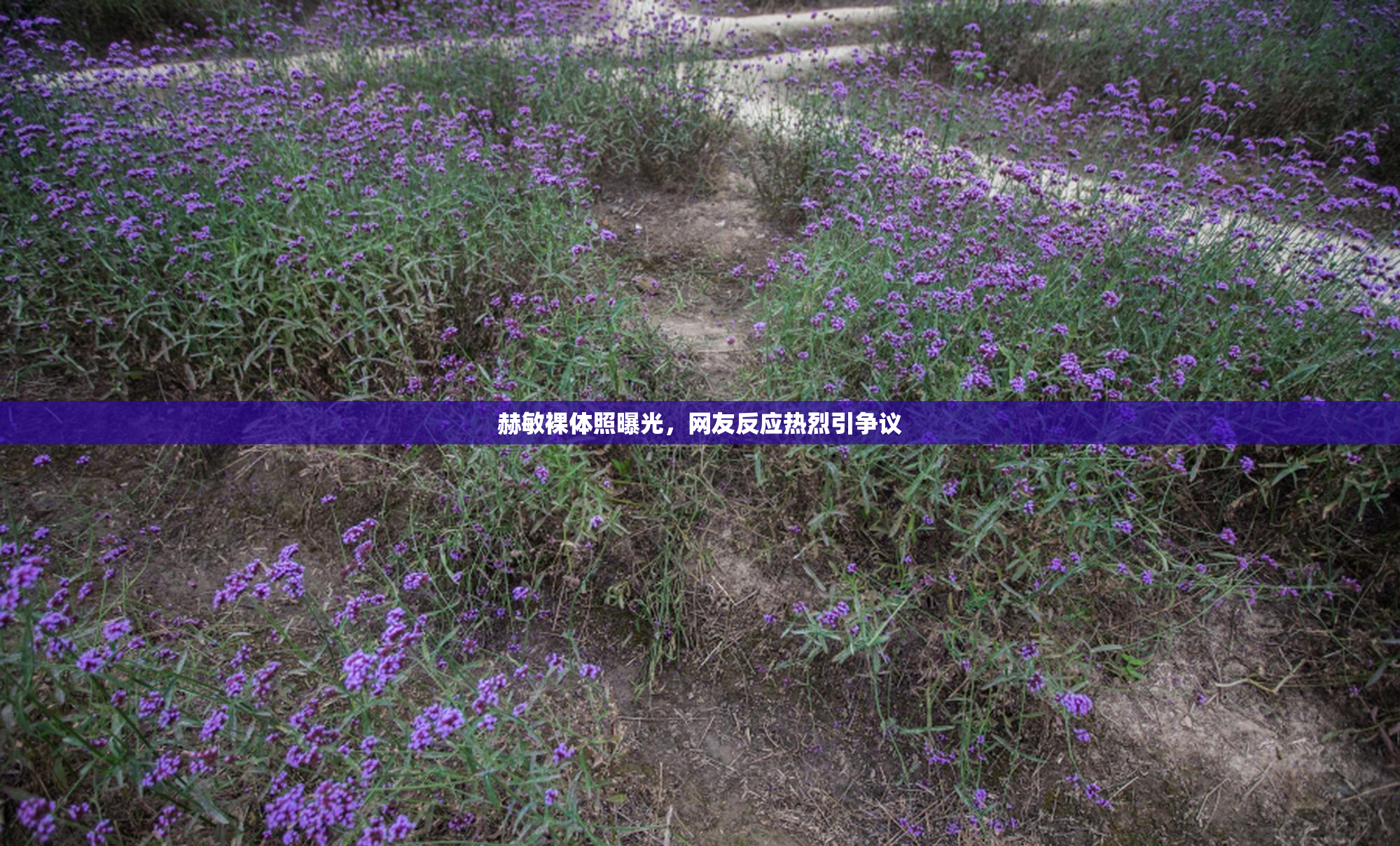 赫敏裸体照曝光，网友反应热烈引争议