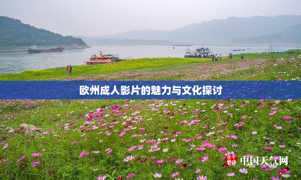 欧州成人影片的魅力与文化探讨