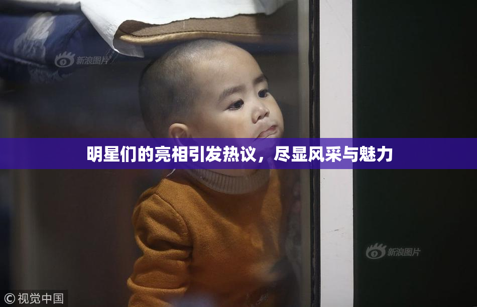 明星们的亮相引发热议，尽显风采与魅力