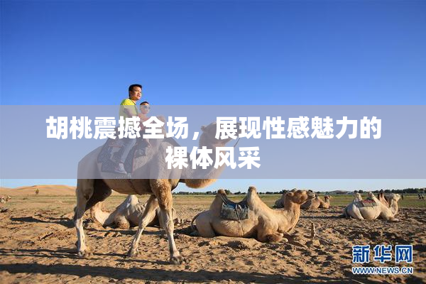 胡桃震撼全场，展现性感魅力的裸体风采