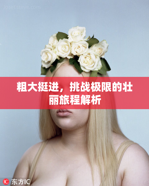 粗大挺进，挑战极限的壮丽旅程解析