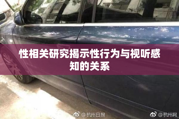 性相关研究揭示性行为与视听感知的关系
