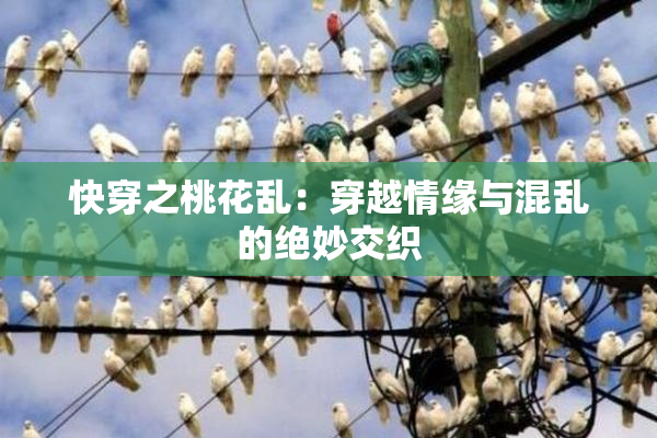 快穿之桃花乱：穿越情缘与混乱的绝妙交织