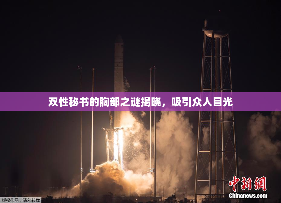 双性秘书的胸部之谜揭晓，吸引众人目光