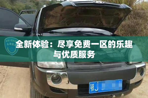 全新体验：尽享免费一区的乐趣与优质服务