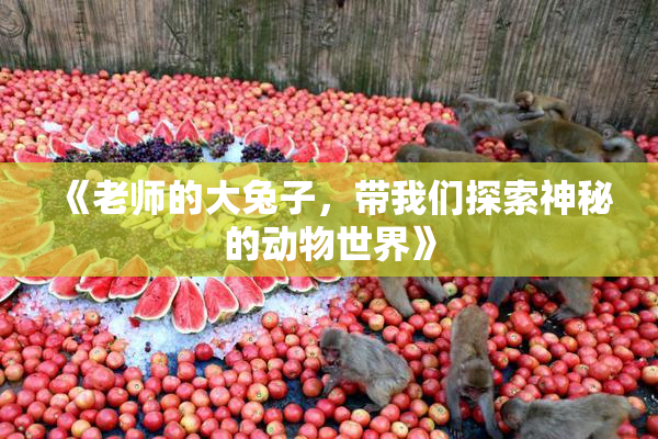 《老师的大兔子，带我们探索神秘的动物世界》