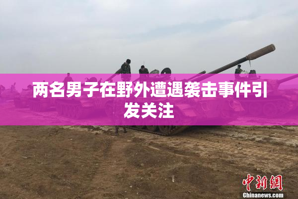 两名男子在野外遭遇袭击事件引发关注