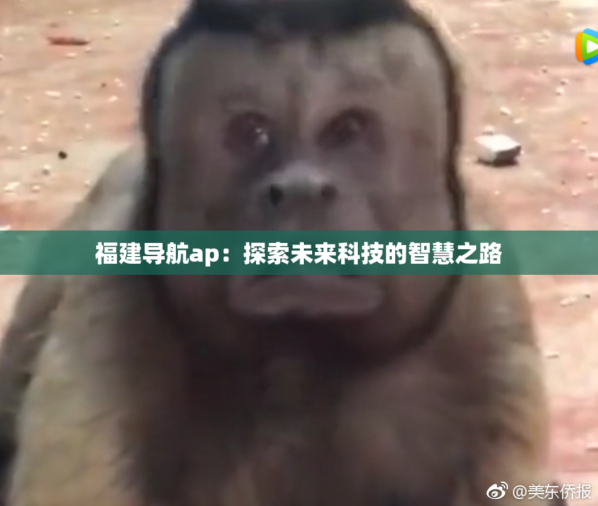 福建导航ap：探索未来科技的智慧之路