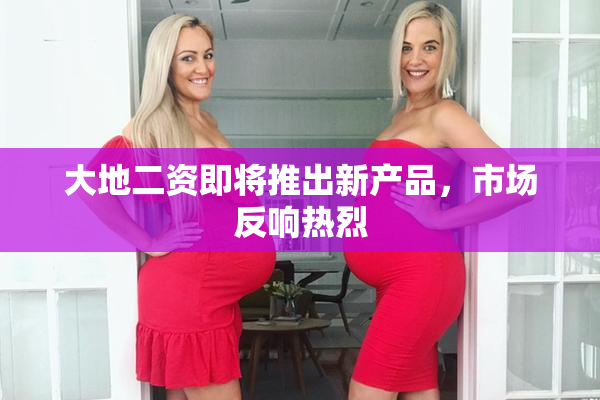 大地二资即将推出新产品，市场反响热烈