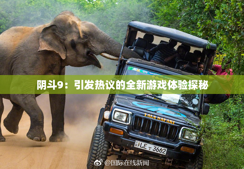 阴斗9：引发热议的全新游戏体验探秘