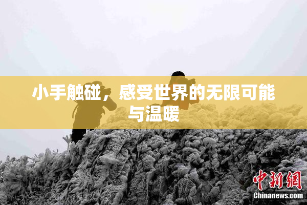 小手触碰，感受世界的无限可能与温暖