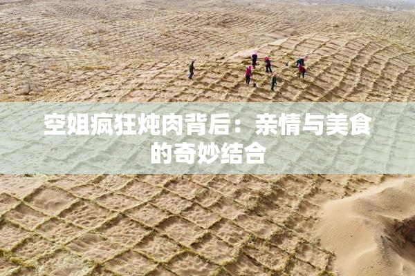 空姐疯狂炖肉背后：亲情与美食的奇妙结合