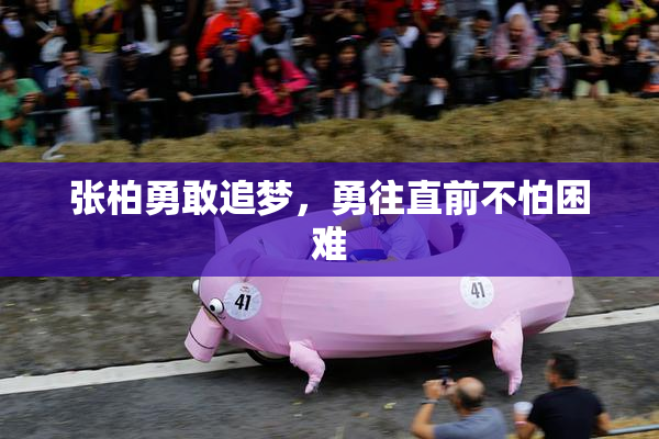 张柏勇敢追梦，勇往直前不怕困难