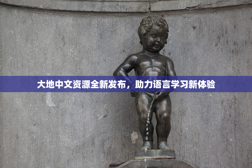 大地中文资源全新发布，助力语言学习新体验