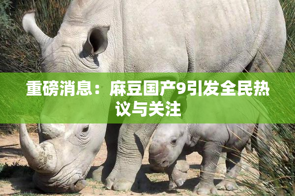 重磅消息：麻豆国产9引发全民热议与关注