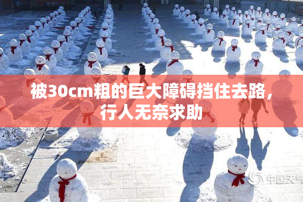 被30cm粗的巨大障碍挡住去路，行人无奈求助