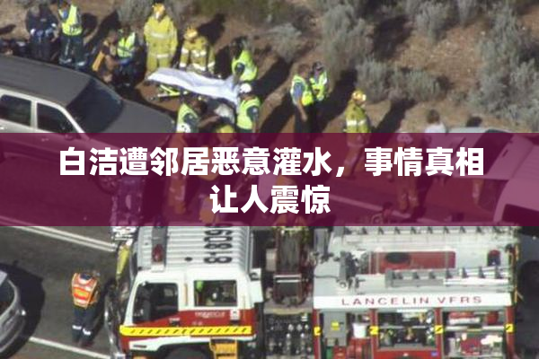 白洁遭邻居恶意灌水，事情真相让人震惊