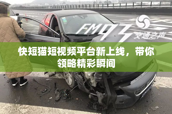 快短猫短视频平台新上线，带你领略精彩瞬间