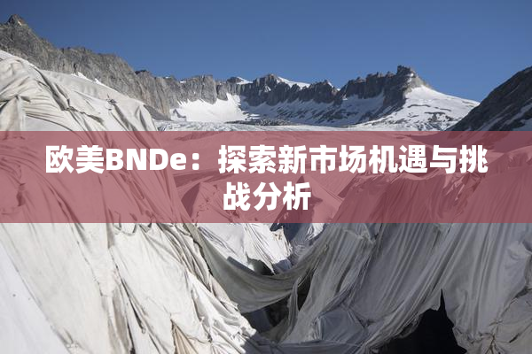 欧美BNDe：探索新市场机遇与挑战分析