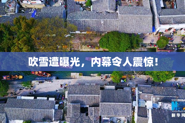 吹雪遭曝光，内幕令人震惊！