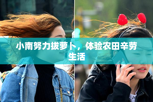 小南努力拔萝卜，体验农田辛劳生活